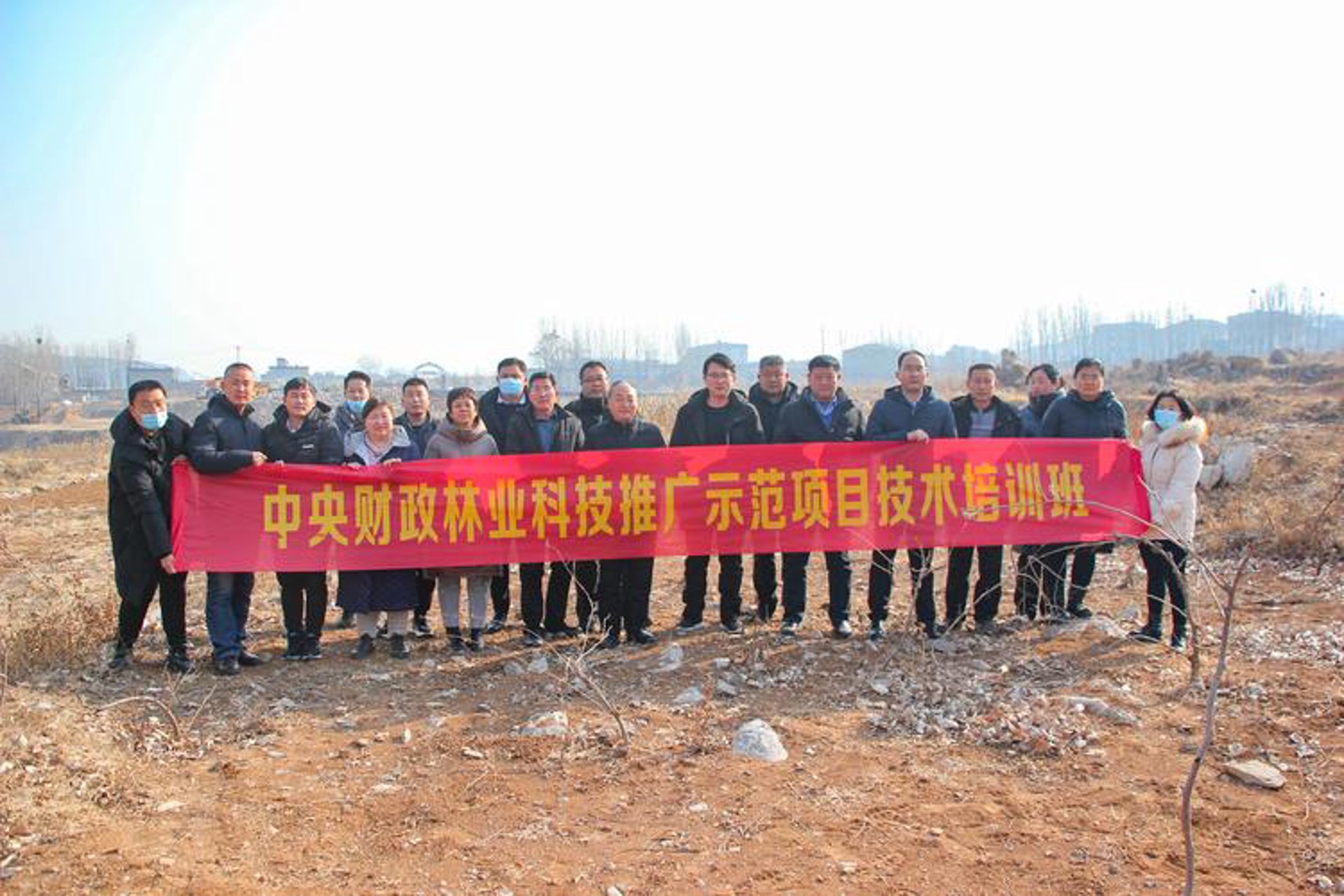 达达网络科技